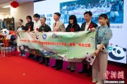 事业算命中国彩绘熊猫艺术国际巡展东京站开幕
